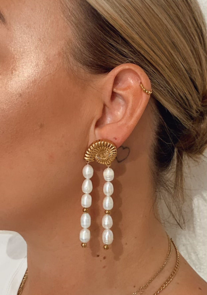 Nautilus Earrings