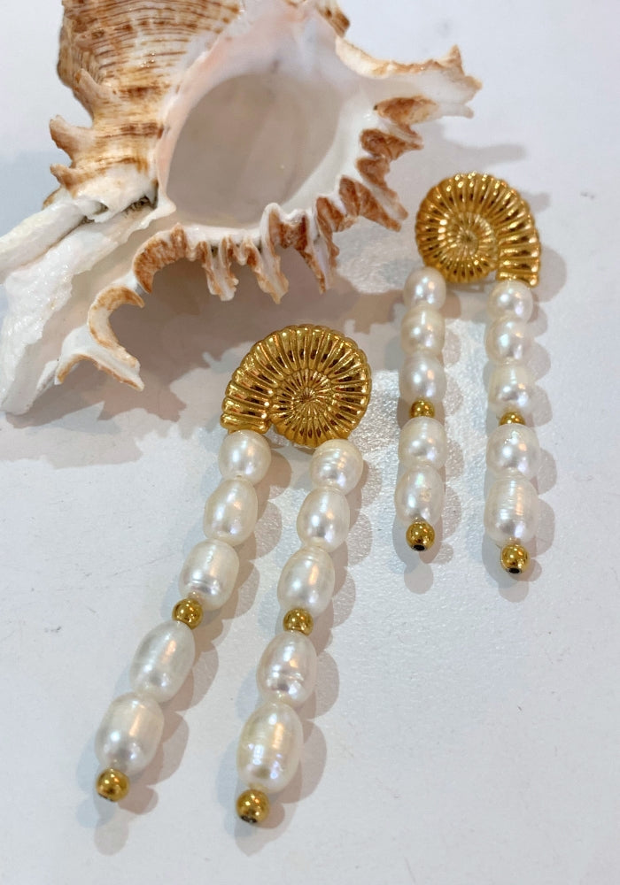 Nautilus Earrings
