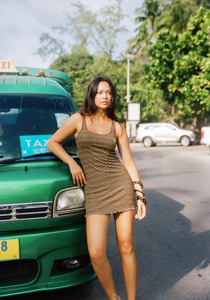 Striper Mini Dress - Brown Multi