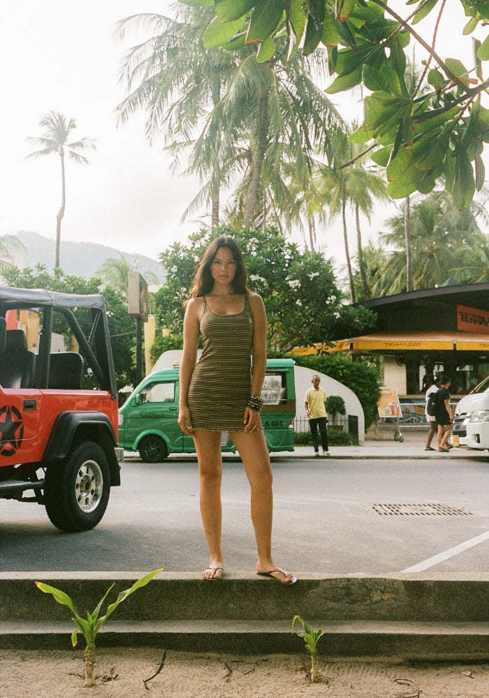 Striper Mini Dress - Brown Multi