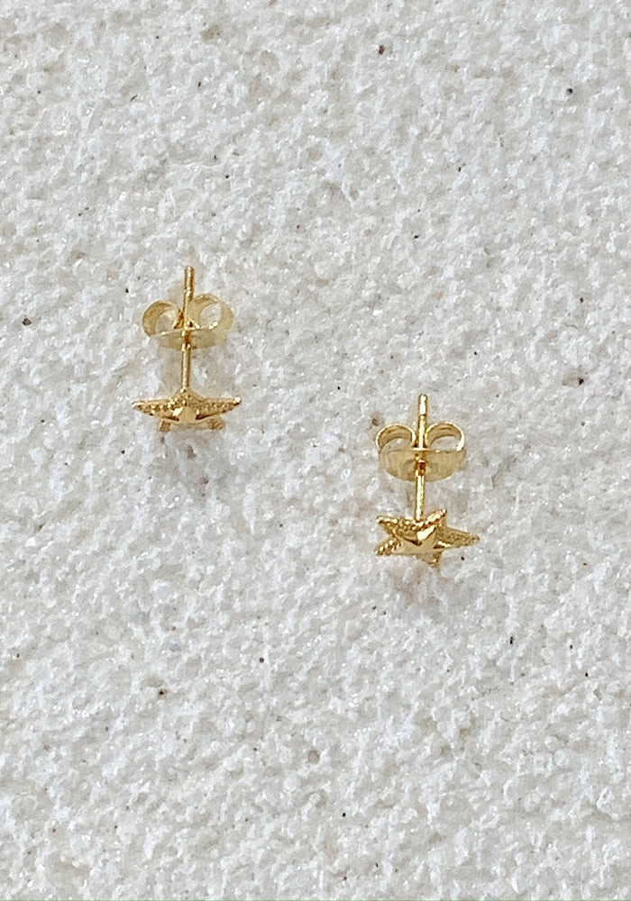 HI HO & CO Star Studs