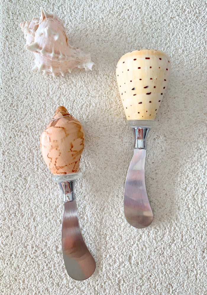 Shell Spreaders - 2 colours