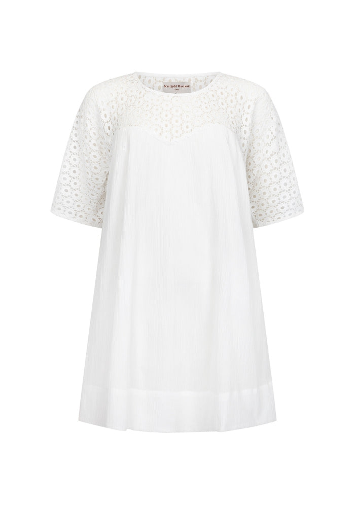 Brigette Lace Mini Dress