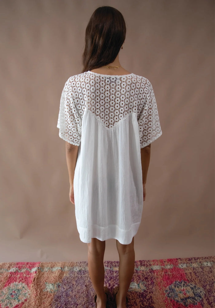  MARIGOLD_MUSTANG Brigette Lace Mini Dress