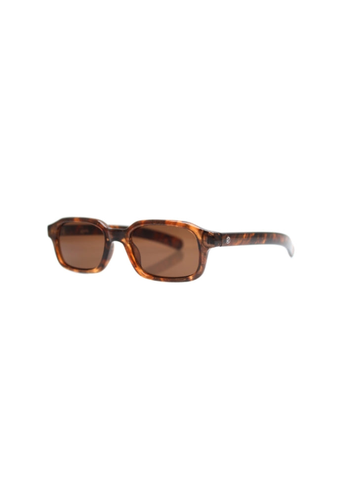 REALITY EYEWEAR The Buzz - Turtle Dark Brown