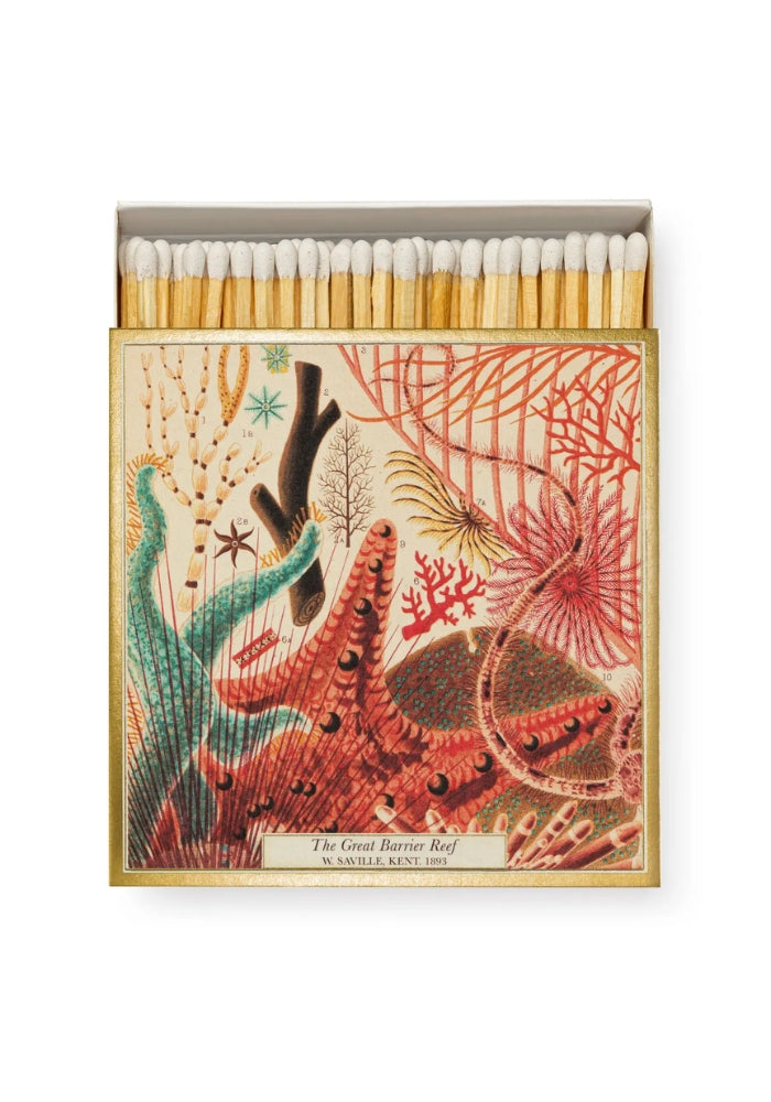 ARCHIVIST GALLERY Great Barrier Reef  - Square Matchbox