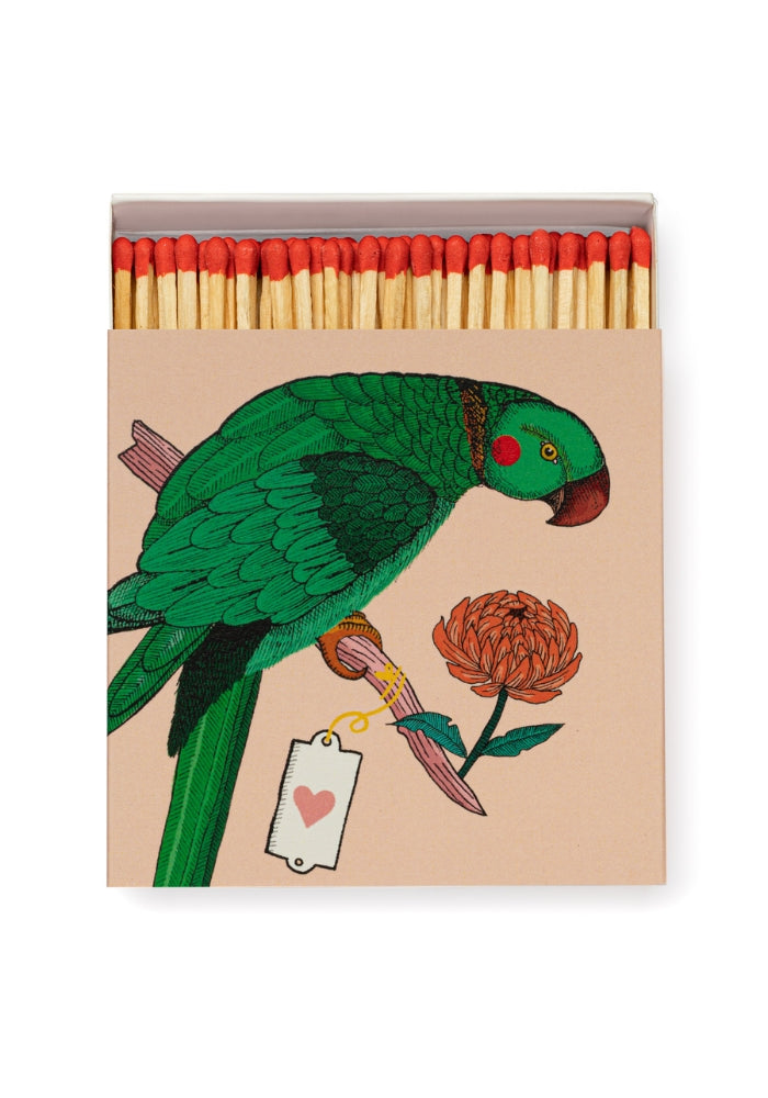 ARCHIVIST GALLERY Parrot - Square Matchboxes
