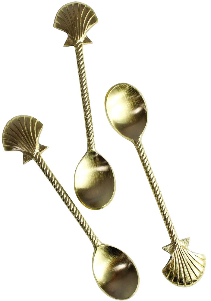 Shell Spoon