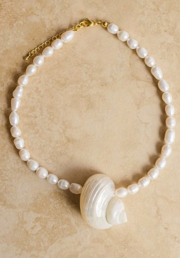 Solomon Shell Necklace