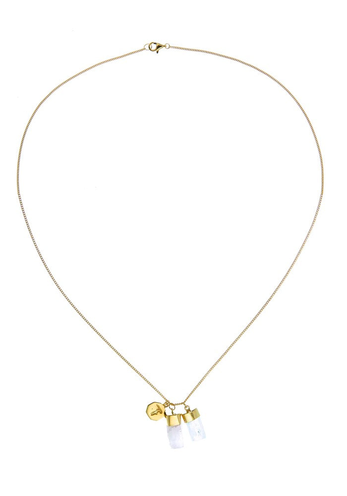 Tiger Frame Gold Aquamarine/Kunzite Charm Necklace